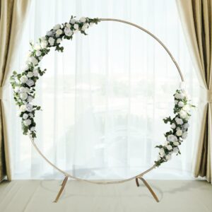Gold Metal Round Wedding Arch Photo Backdrop
